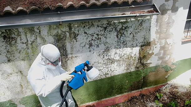 Trusted Mold Testing service in New Providence, NJ - Cheap Mold Removal
